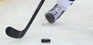 Die Neuregelung wurde einstimmig von den Vertretern aller 14 Klubs verabschiedet Eishockey