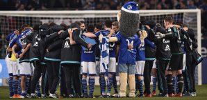 Der FC Schalke 04 trifft beim Florida Cup unter anderem auf Atletico Mineiro FC Schalke 04