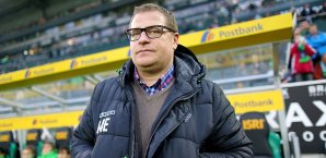 Max Eberl blickt positiv in die Fohlen-Zukunft Max Eberl