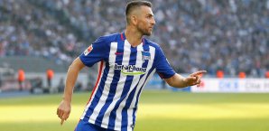 Ibisevic wechselte zu Saisonbeginn vom VfB Stuttgart Vedad Ibisevic