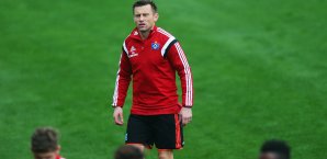 Ivica Olic