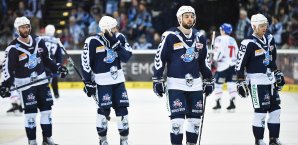 Hamburg Freezers