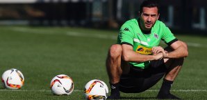 Martin Stranzl absolvierte 143 Pflichtspiele für Borussia Mönchengladbach Martin Stranzl