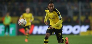 Pierre-Emerick Aubameyang hat das Interesse von Manchester United geweckt Pierre-Emerick Aubameyang