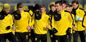Sokratis konnte wieder voll mittrainieren Sokratis
