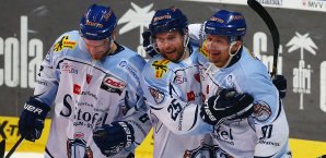 Die Straubing Tigers feiern den Sieg in Ingolstadt Straubing Tigers