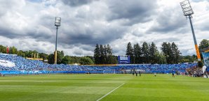 Die Lilien dürfen sich über neues Grün freuen SV Darmstadt 98