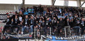 Chemnitzer FC, Fans