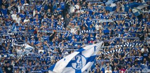 Schalke Fans