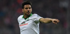Bekommt Claudio Pizarro bald einen Landsmann als Teamkollegen? Claudio Pizarro