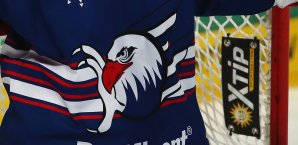 Die Adler Mannheim setzen zukünftig auf eine Kooperation mit der TSG Hoffenheim Adler Mannheim