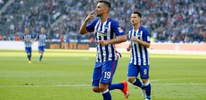 Vedad Ibisevic erzielt in der letzten Saison zehn Tore Vedad Ibisevic