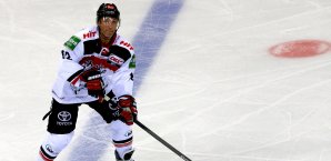Mirko Lüdemann spielte 23 Jahre für die Kölner Haie Mirko Lüdemann