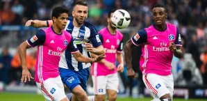 Vedad Ibisevic hat bisher fünf Mal in der Bundesliga getroffen Vedad Ibisevic