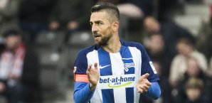 Vedad Ibisevic schließt eine Wechsel nicht aus Vedad Ibisevic