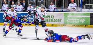 Die Kölner Haie sind die populärste Mannschaft Europas Eishockey
