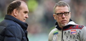 Jörg Schmadtke und Peter Stöger schielen in Richtung Europa Jörg Schmadtke, Peter Stöger
