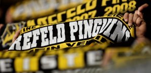 Max Faber kommt von den Kölner Haien zu den Krefeld Pinguinen zurück Krefeld Pinguine