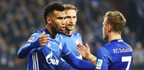 Schalke 04 gewann gegen Darmstadt Schalke 04