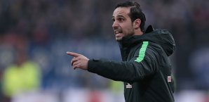 Alexander Nouri setzt auf Erfahrung Alexander Nouri