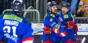 Der Düsseldorfer EG tritt bald mit Mike Pillgrims als Trainer auf Düsseldorfer EG