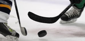Die Pinguine verpflichten Martin Ness Eishockey