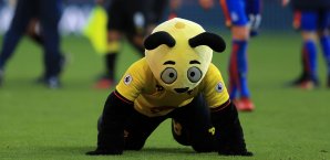 Harry The Hornet