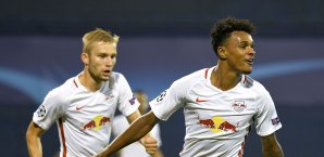 Die österreichische Liga wird demnächst mit 12 Mannschaften ausgetragen International