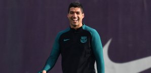 Luis Suarez verlängert vermutlich bald Luis Suarez