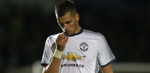 Die Toffee wollen Morgan Schneiderlin Morgan Schneiderlin