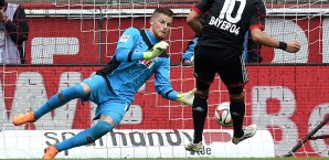 Horn ist Stammkeeper bei Köln Timo Horn