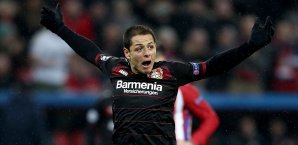 Chicharito könnte Leverkusen verlassen Chicharito