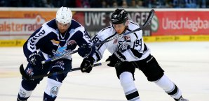 David Steckel bleibt in Nürnberg Eishockey