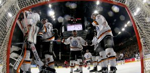 Die Grizzlys Wolfsburg stehen im FInale Grizzlys Wolfsburg