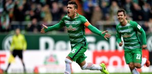 Zlatko Junuzovic zog sich einen grippalen Infekt zu Zlatko Junuzovic