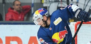 Alexander Dotzler kehrt zu alter Wirkungsstätte nach Straubing zurück