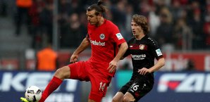 Alexander Meier fällt wegen einer Fersen-Entzündung auch gegen Köln aus Alexander Meier