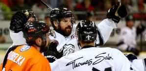 Brandon Segal verlängert seinen Vertrag bei den Nürnberg Ice Tigers Brandon Segal