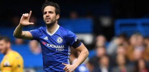 Cecs Fabregas ist derzeit mit dem FC Chelsea auf Meisterschaftskurs