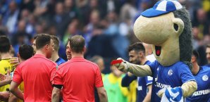 Das Schalker Maskottchen Erwin war mit der Leistung von Felix Zwayer unzufrieden FC Schalke 04