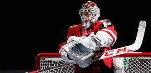Niklas Treutle schließt sich den Nürnberg Ice Tigers an Niklas Treutle