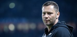 Pal Dardai kämpft um die Europa League-Plätze Pal Dardai
