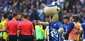 Das Schalke-Maskottchen zeigte dem Schiedsrichter nach Abpfiff die rote Karte Schalke-Maskottchen
