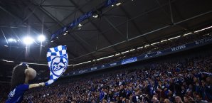 Das Schalker Maskottchen Erwin war mit der Leistung von Felix Zwayer unzufrieden Schalker Maskottchen Erwin