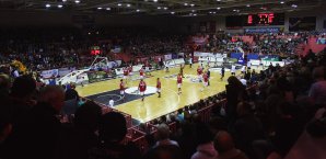 Die Tübinger Tigers können auch in Zukunft auf Stewart bauen Tübingen Tigers