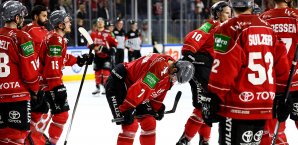 Nach der Playoff-Niederlage suchen die Haie mehr Firepower Kölner Haie