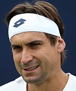 D. Ferrer - david-ferrer