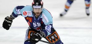 Brandon Reid,Hamburg Freezers,Eishockey