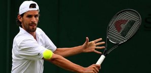 Philipp Petzschner, Wimbledon
