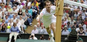 Andy Murray,Netz,Wimbledon,Viertelfinale